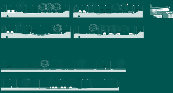 representation of sponge cit